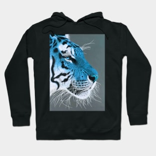 Cerulean blue and white siberian tiger Hoodie